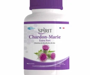 SPIRIT PHARMA – Chardon Marie Extra Fort Protection Du Foie – 60 Gélules